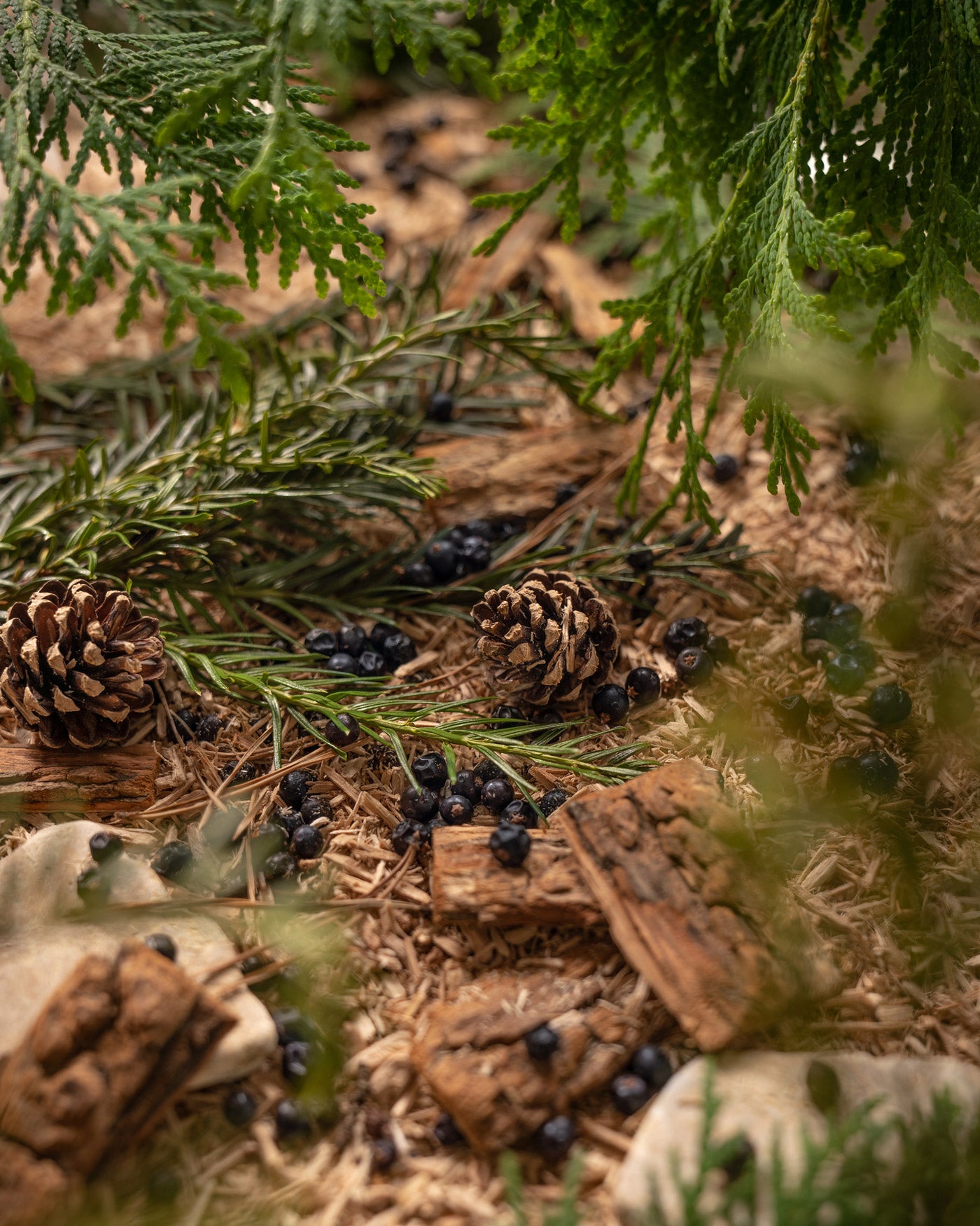 Into The Wild Duftkerze